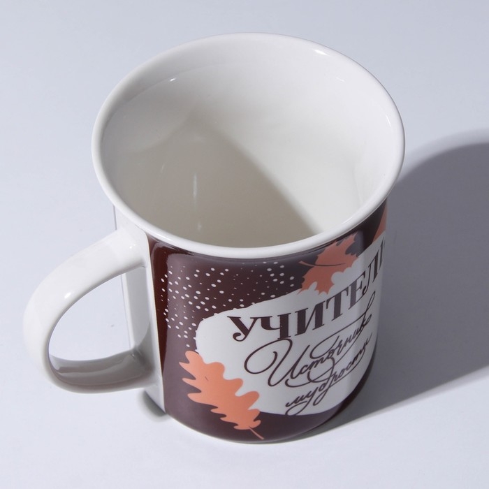 Кружка керамическая &laquo;Учитель источник мудрости&raquo;, 300 мл, цвет белый