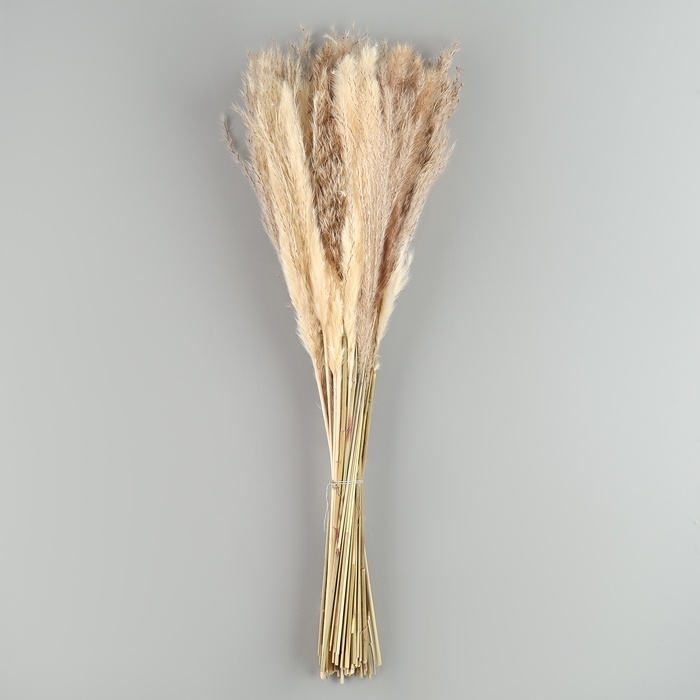 Букет из сухоцветов &laquo;Изумление&raquo;, высота 47 см