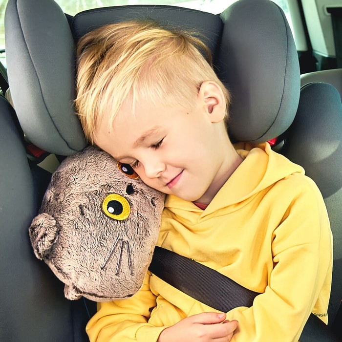 Мягкая игрушка &laquo;Автомобильная подушка кот Басик&raquo;, 24 х 15 х 8 см