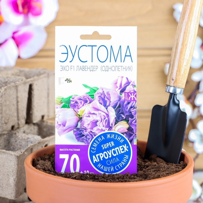 Семена цветов Эустома Семена цветов Эустома "Эхо Лавендер", F1, О, драже, 5 шт