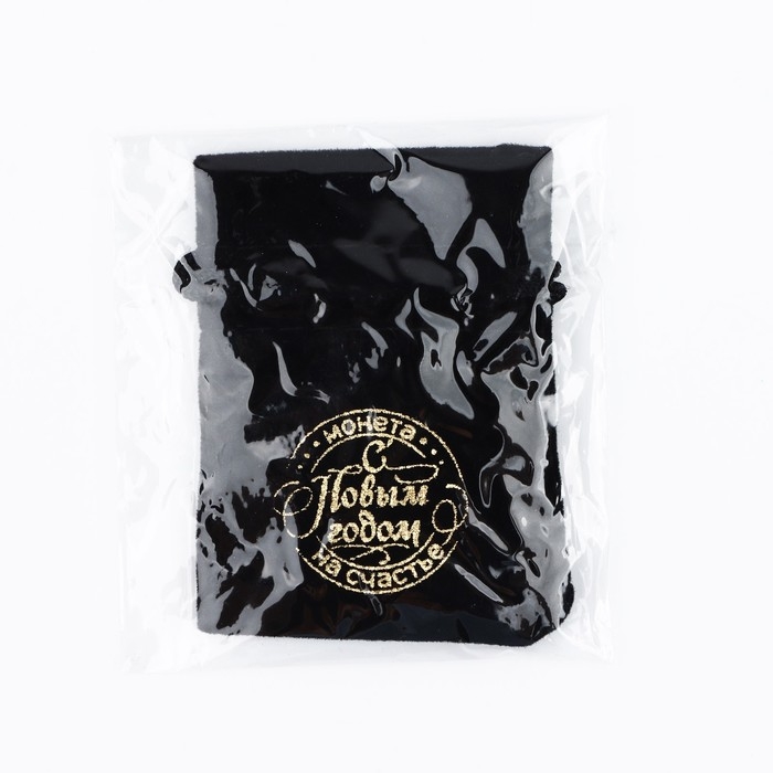 Монета в мешочке новогодняя &laquo;2025&raquo; на Новый год, диам. 2.5 см