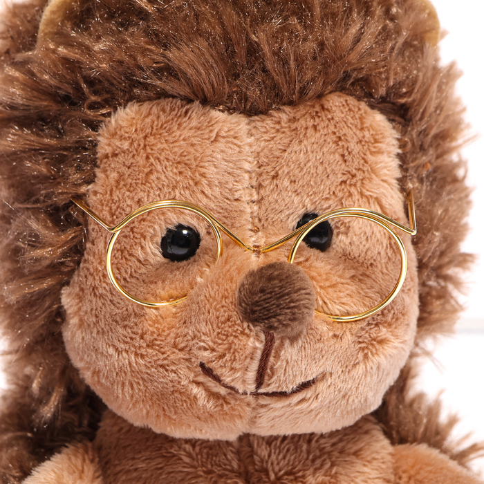 Мягкая игрушка «Ёжик Колюнчик» в очках, 15 см Мягкая игрушка «Ёжик Колюнчик» в очках, 15 см