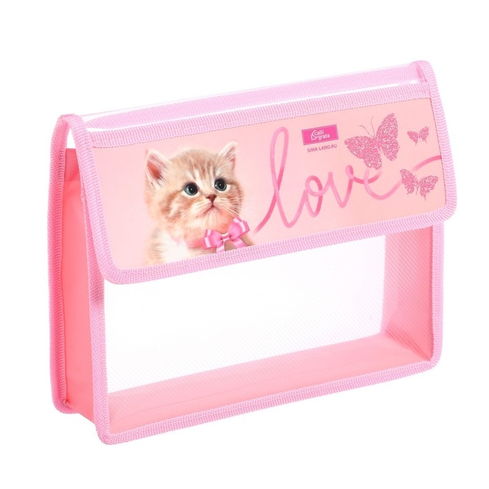 Папка для тетрадей А5 (230 х 190 х 50 мм), с клапаном на липучке, пластик/текстиль, Calligrata