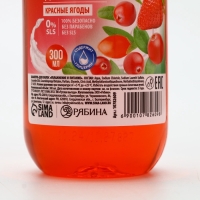 Шампунь для волос РУССКАЯ ВЫГОДА, 300 мл, аромат красных ягод
