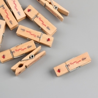 Декор для творчества дерево "Прищепка - Букетик радости" набор 10 шт