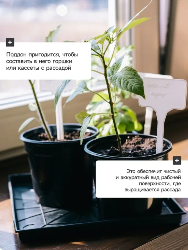 Поддон для рассады, 21&times;21&times;1.7 см, пластик, чёрный