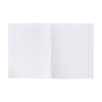 Тетрадь 48 листов в линию &laquo;Искусство Азии&raquo; РУССКИЙ ЯЗЫК, пластиковая обложка с печатью, тиснение фольгой, с интерактивным справочником, блок �...