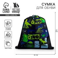 Мешок для обуви &laquo;Динотайм&raquo; болоньевый материал, 30&times;40 см