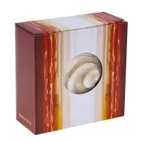 Крючок для штор CAPPIO KS038, d=11 см, цвет белый с золотом, 2 шт