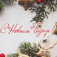 Пакет бумажный подарочный новогодний крафт "Новогоднее украшение" 18 х 8 х 25 см.