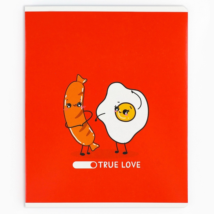 Тетрадь в клетку, 48 листов А5 на скрепке , внутренний блок №1 МИКС &laquo;1 сентября: Истинная любовь&raquo; ВД лак