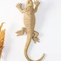 Панно интерьерное полистоун "Ящерица шипохвост" золото 38,7х16,9х9,5 см