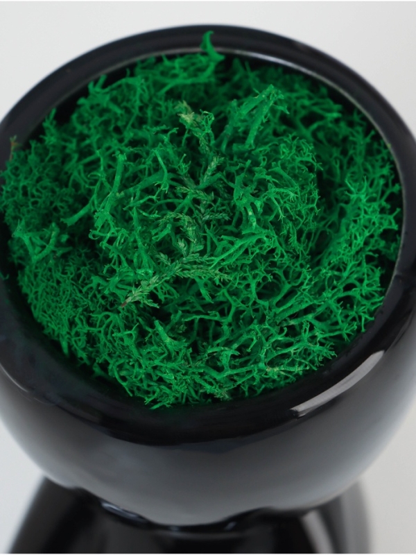 Кашпо керамика "Мистер Грин" любитель тишины 11,5*10*9 см черный