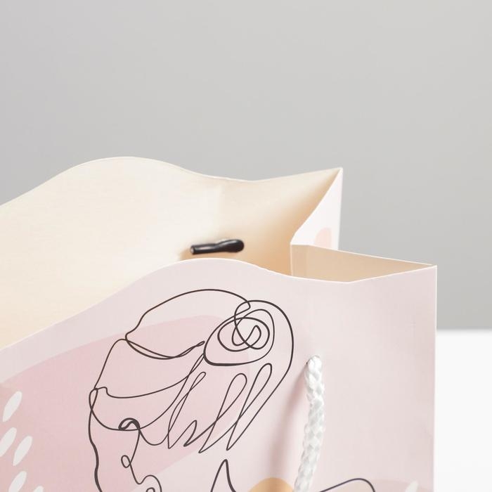 Пакет подарочный, упаковка, &laquo;Нежность&raquo;, 25 х 26 х 10 см