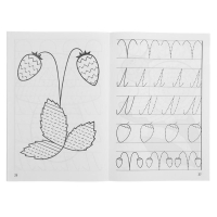 Рабочая тетрадь для детей 4-5 лет &laquo;Мои первые прописи&raquo;, Бортникова Е.