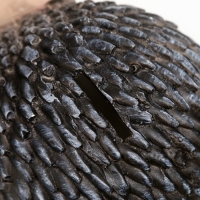 Копилка для денег &laquo;Ежик Тима&raquo;, гипс, 16&times;10 см