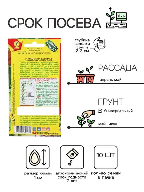 Семена Огурец "Мечта дачника" F1, раннеспелый, партенокарпический, 10 шт