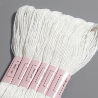 Нитки мулине «Blanc», 8 ± 1 м, 6 шт, цвет белый Нитки мулине «Blanc», 8 ± 1 м, 6 шт, цвет белый