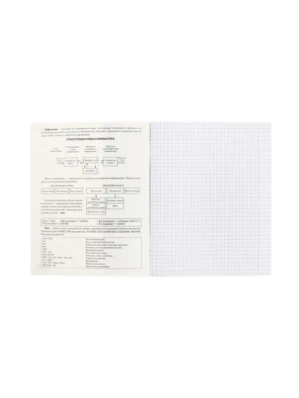 Тетрадь 48 листов в клетку &laquo;Буквица&raquo; Информатика, белые листы