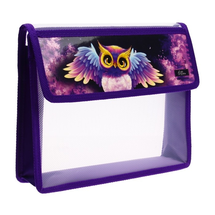 Папка для тетрадей А5 (230 х 190 х 50 мм), с клапаном на липучке, пластик/текстиль, Calligrata