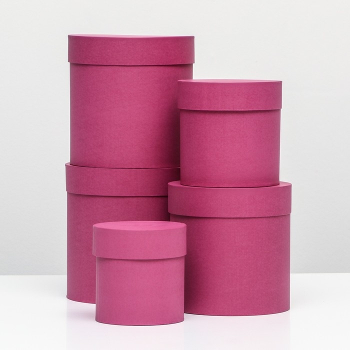 Набор шляпных коробок 5 в 1 "Фуксия", 20 &times; 20 &times; 20‒13,5 &times; 13,5 &times; 13,5 см