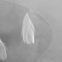 Бра "Августа" LED 5Вт золото-черный 20х26х4,5см