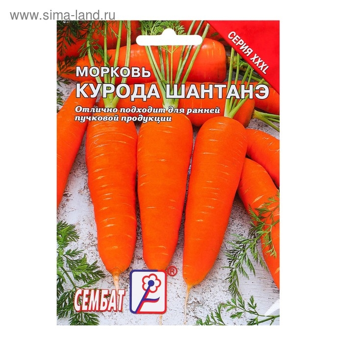 Семена ХХХL Морковь "Курода Шантанэ", 10 г