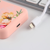 Зарядное устройство &laquo;Цветы&raquo;, 5000мА