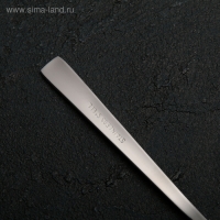 Ложка чайная из нержавеющей стали &laquo;Хоккайдо&raquo;, длина 15 см, толщина 1 мм