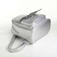 Рюкзак городской на молнии, цвет серебряный Рюкзак городской на молнии, цвет серебряный