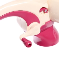 Набор для вязания &laquo;Студия вязания&raquo;