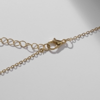 Кулон &laquo;Прелесть&raquo; собака в сумке, цветной в золоте, 40 см