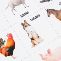 Набор обучающих плакатов &laquo;Изучаем мир&raquo;, 10 в 1, А4