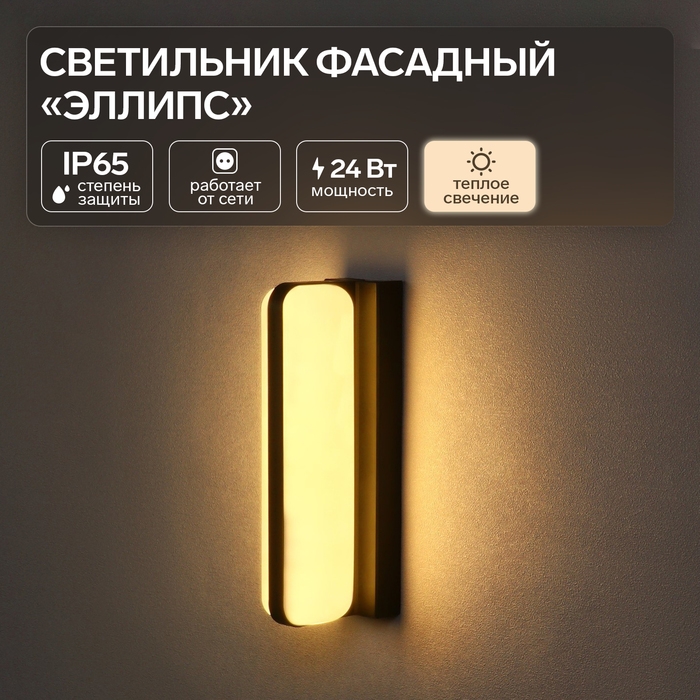 Светильник фасадный &laquo;Эллипс&raquo;, FSD-029, 24 Вт, 3000K, IP65, 220 В, пластик, черный