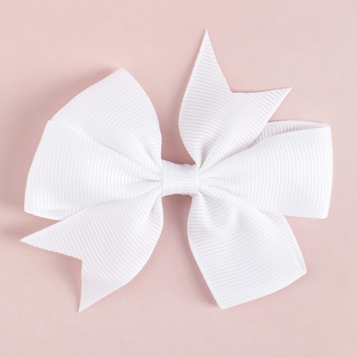 Подарочный набор в чемоданчике: заколка и блок листов &laquo;Волшебный Подарочный набор для девочек&raquo;