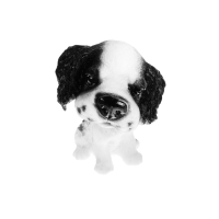 Собака на панель авто, качающая головой, спаниель Собака на панель авто, качающая головой, спаниель