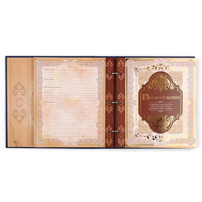 Родословная книга с рамкой под фото &laquo;Родословная книга&raquo;, 50 листов, 21,5 х 23,7 см.