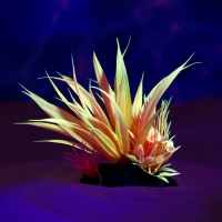 Растение искусственное аквариумное, светящееся, 10 см, красное Растение искусственное аквариумное, светящееся, 10 см, красное