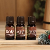 Набор эфирных масел 3 шт по 10 мл "Хозяинку бани!", сосна, кедр, эвкалипт Набор эфирных масел 3 шт по 10 мл "Хозяинку бани!", сосна, кедр, эвкалипт