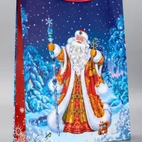 Пакет подарочный новогодний ламинированный, &laquo;Дед Мороз&raquo; , 33&times;10&times;42.5 см