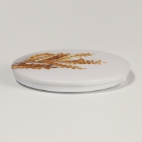 Зеркало складное круг (2) ЛИСТЬЯ d7,3см увел белое пласт пакет QF Зеркало складное круг (2) ЛИСТЬЯ d7,3см увел белое пласт пакет QF