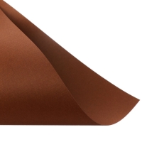 Бумага для пастели А3, 10 листов De Luxe, 160 г/м2, слоновая кость и тёмно-коричневый, в папке Бумага для пастели А3, 10 листов De Luxe, 160 г/м2, слоновая кость и тёмно-коричневый, в папке