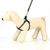 Комплект прошитый "Жираф", ширина 1 см, поводок 120 см, шлейка 23-35 см, чёрно-белый