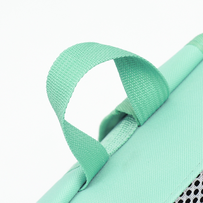 Рюкзак-переноска для кошек и собак, 35 х 30 х 26 см, голубой Рюкзак-переноска для кошек и собак, 35 х 30 х 26 см, голубой