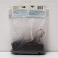 Хоста Fragrant Bouquet, корневище в пакете с торфогрунтом, р-р I, размер ML,1 шт.