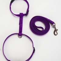 Комплект для кошек, ширина 1 см, ОШ 16,5-27 см, ОГ 21-35 см, поводок 120 см, фиолетовый