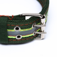 Ошейник четырехслойный светоотражающий с вертлюгом, 65 х 4 см, зелёный