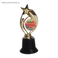 Фигура наградная звезда на Выпускной &laquo;Выпускник детского сада&raquo;, высота 18,3 см