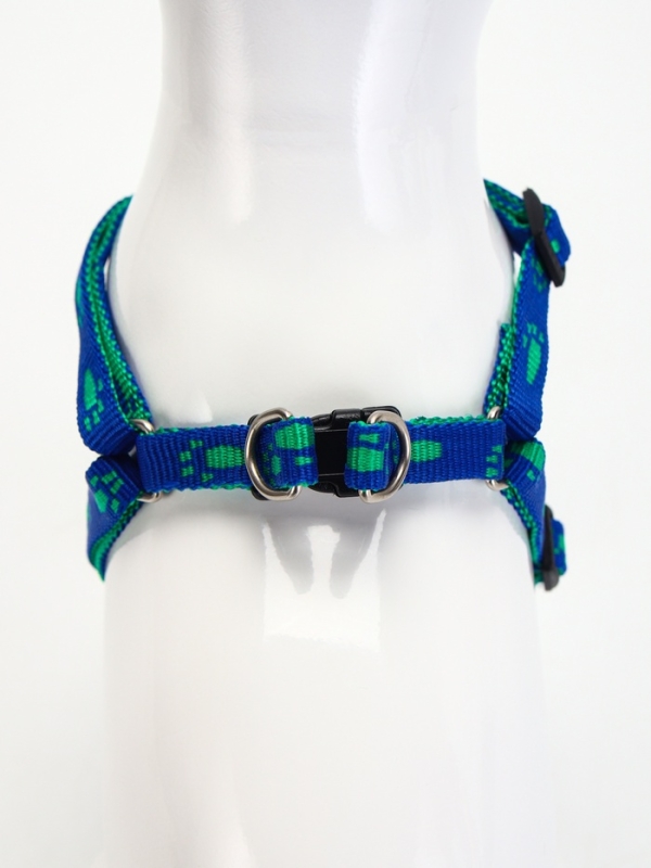 Комплект  "Большая лапа", ширина 1 см, поводок  120 см, шлейка 25-36 см, сине-зелёный