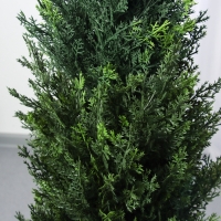 Дерево искусственное "Туя" в горшке, 120 см Дерево искусственное "Туя" в горшке, 120 см